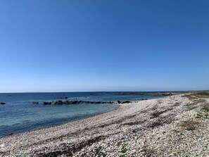 Ranta