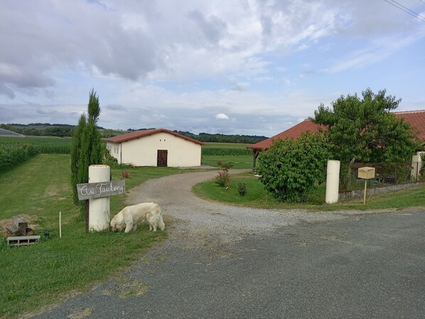 Una propietat rural amb un camí de grava que condueix a un edifici blanc amb teulada vermella, envoltada de camps verds i un gos a prop d'un cartell que diu "Au Faubourg".