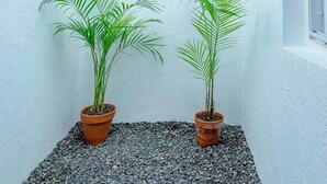 A narrow outdoor corridor with white walls, two potted plants, and a wall-mounted lantern. - MOT Nicaragua 5800 (Buenos Aires)
