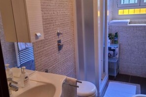 Shower, hair dryer, bidet, towels