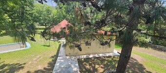 Stone stay room 6