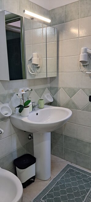 Dusch, hårtork, bidé och handdukar