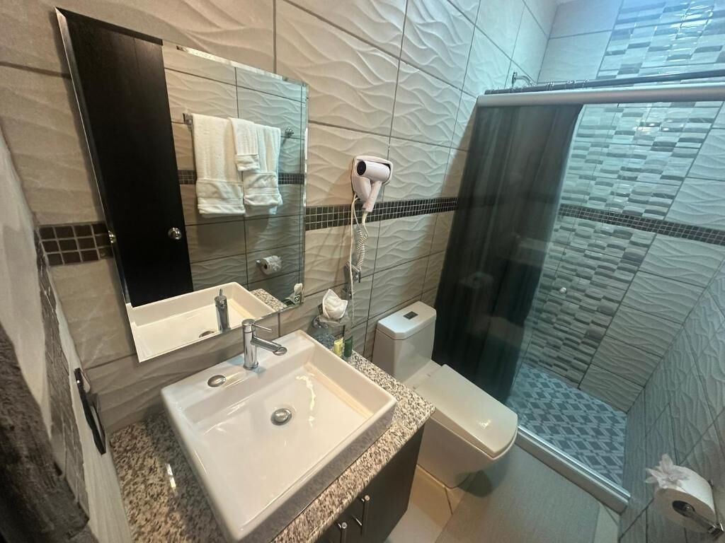 Shower, hair dryer, bidet, towels