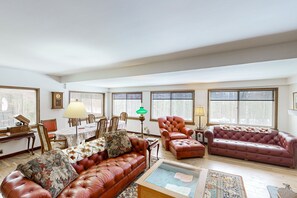 TV, fireplace, video games, books