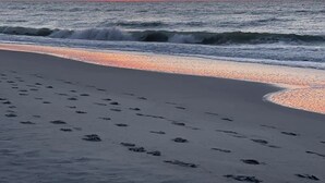 Strand