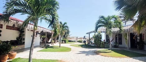 Vườn