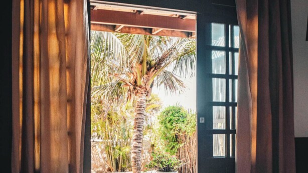 Un dormitorio con cama, cortinas y vistas a palmeras y follaje exterior.