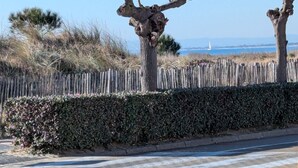 Une route côtière bordée d’une clôture en bois et d’une haie.