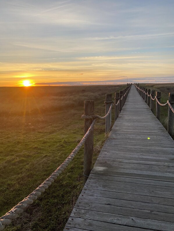 A wooden boardwalk leading to a sunset over a grassy field. - Oceanfront in Gearhart Highlands (Gearhart)