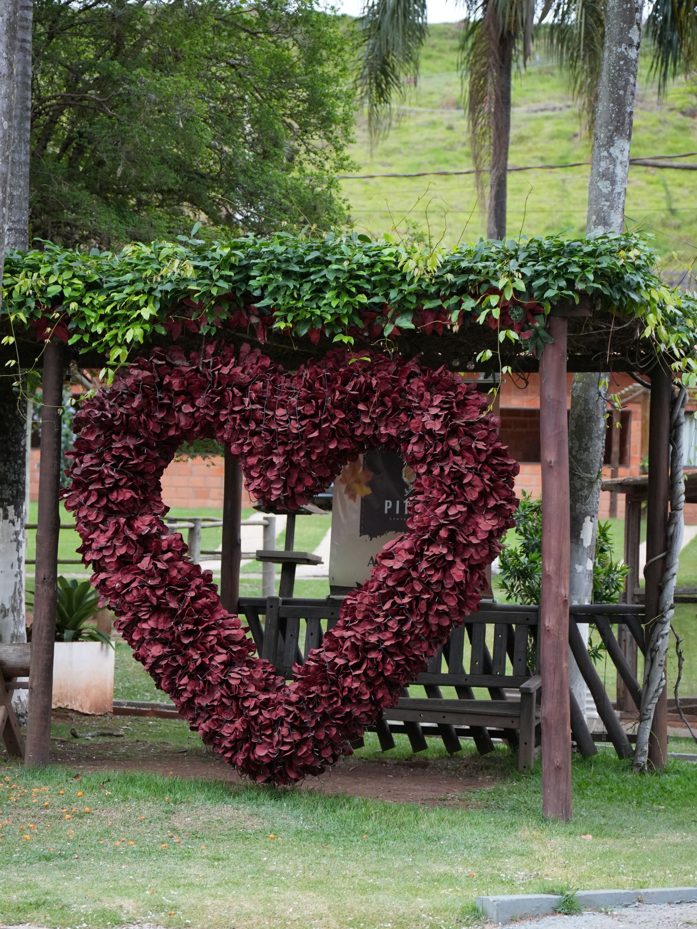 A heart-shaped structure made of foliage, wooden beams, and a bench.
