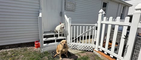 Property grounds