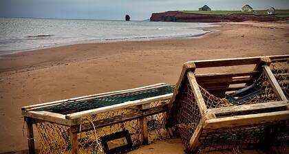 Country cottage, exceptional view, lake, dunes and sea. 5 minutes from the beach