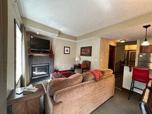 TV, fireplace