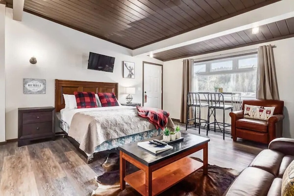 Open concept living room with Queen bed