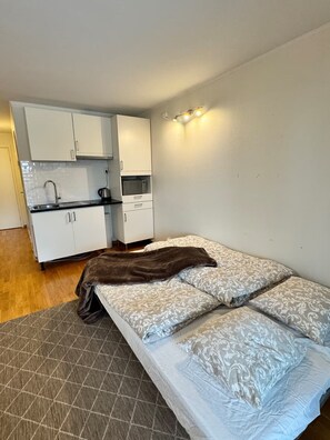 1 Schlafzimmer, Bügeleisen/Bügelbrett, WLAN, Bettwäsche