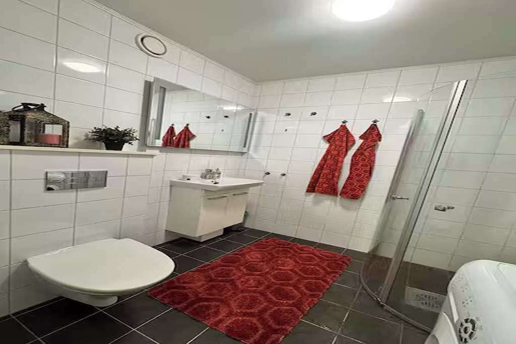 Haartrockner, Handtücher, Seife, Toilettenpapier