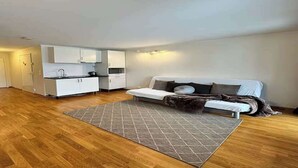 A compact living space with a kitchenette, a sofa, and a patterned rug. - Apartment near Oslo, Drammen, and a lake (Buskerud)