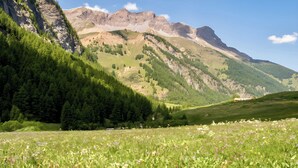 A mountainous landscape with a meadow in the foreground and a mountain range in the background. - CASA-Mezan, appartement cosy 2 chambres (Aiguilles)