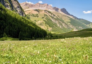 A mountainous landscape with a meadow in the foreground and a mountain range in the background. - CASA-Mezan, appartement cosy 2 chambres (Aiguilles)