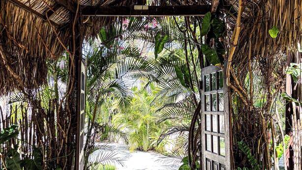 A covered pathway leading to a building entrance, surrounded by lush greenery and a thatched roof structure. - Room-room 3 in Brouwersdam (Beberibe)