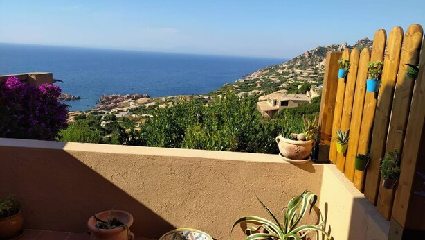 Una terraza con plantas en macetas, cerca de madera y vistas al mar y al paisaje.