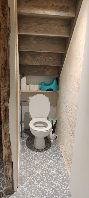 Une salle de bain avec des toilettes blanches, du papier toilette bleu et une brosse de nettoyage bleue.