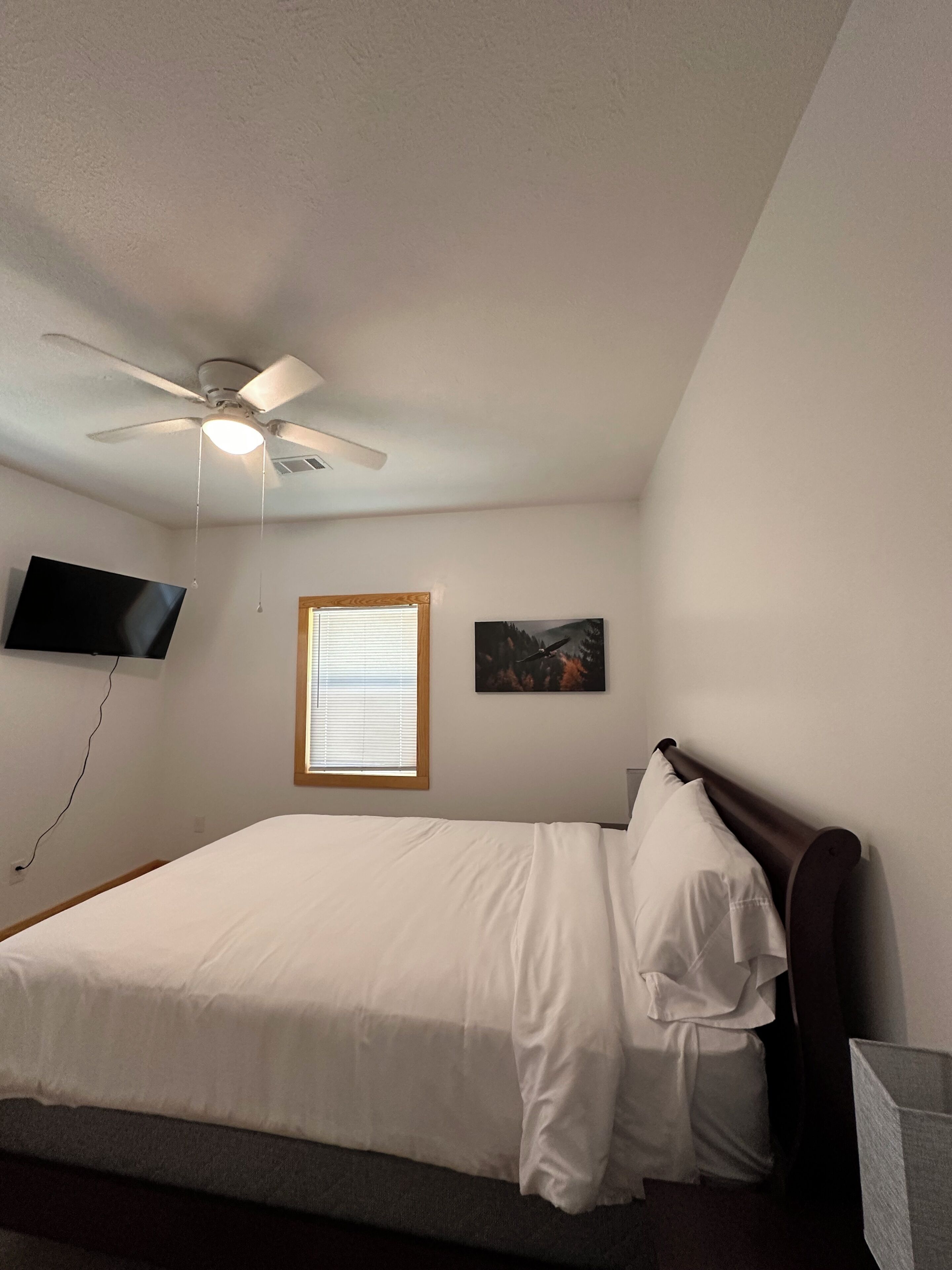 A bedroom with a bed, a ceiling fan, a TV, a window, and a picture on the wall.