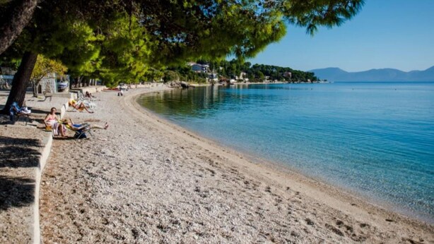 A beach with clear blue water, a sandy shore, and a row of trees providing shade.
