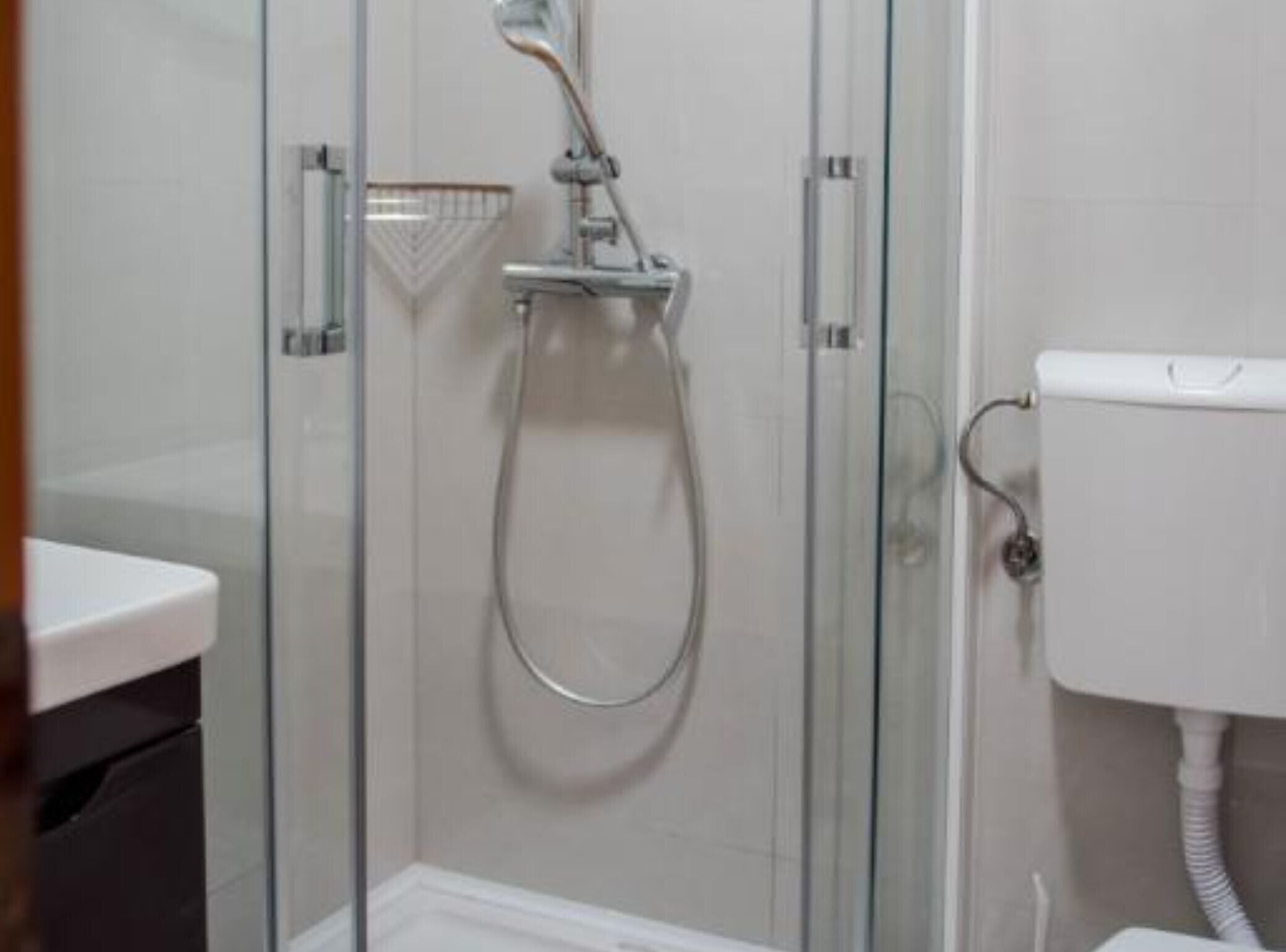 A glass-enclosed shower stall with a handheld showerhead and a wall-mounted toilet.