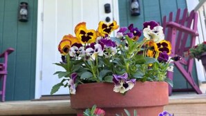 A porch with a potted flower arrangement in front of a green door. - The Greenhouse - New River Gorge National Park (Rainelle)