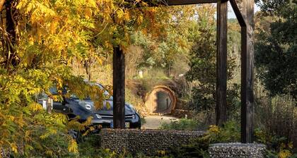 The Hobbit House / Casa Florestal