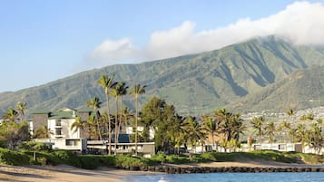 Une propriété située en bord de mer, offrant une vue sur une montagne, des palmiers et un ciel dégagé.