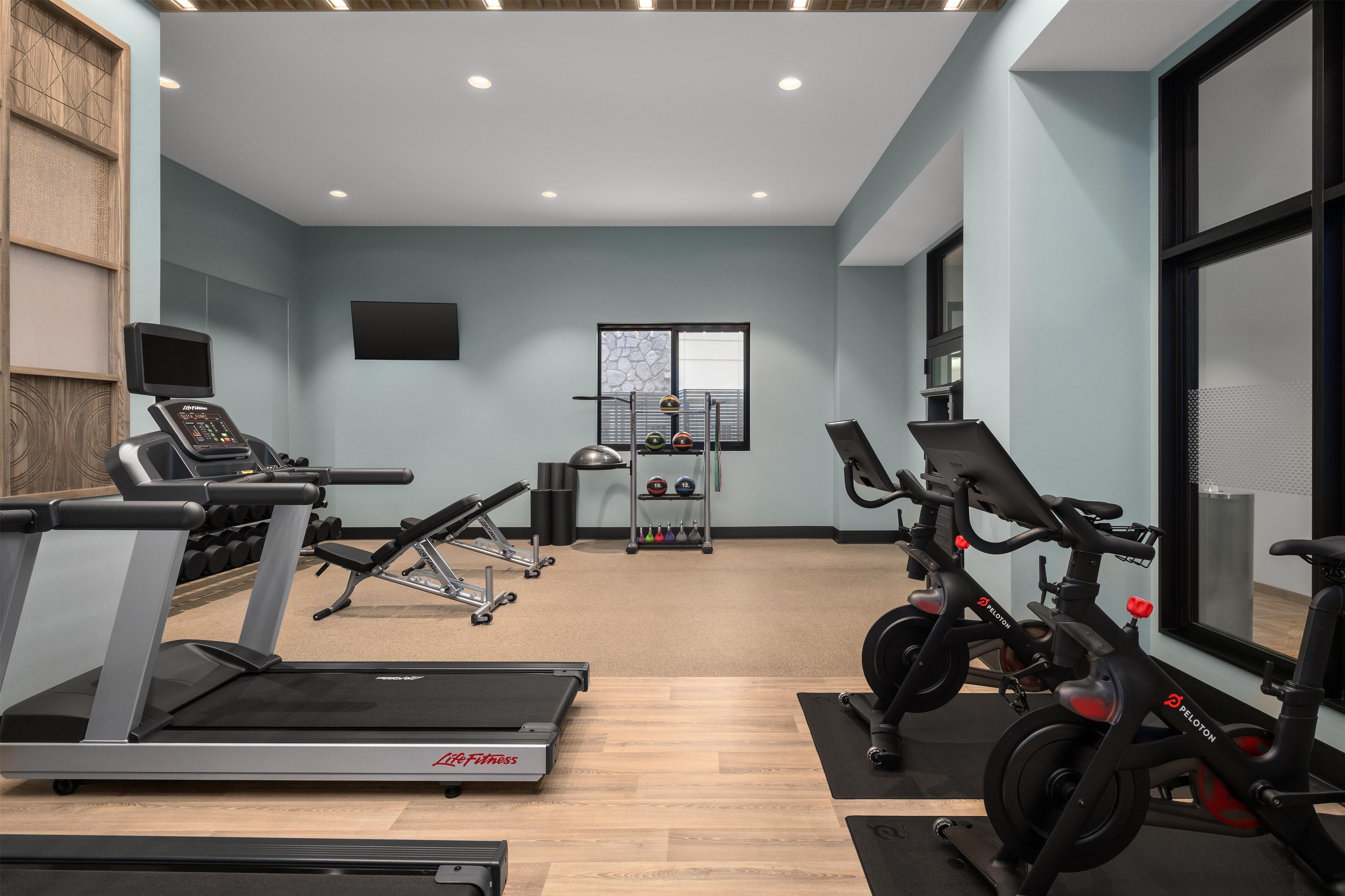 A gym with treadmills, an elliptical, and a stationary bike, featuring a light blue wall and a large window.