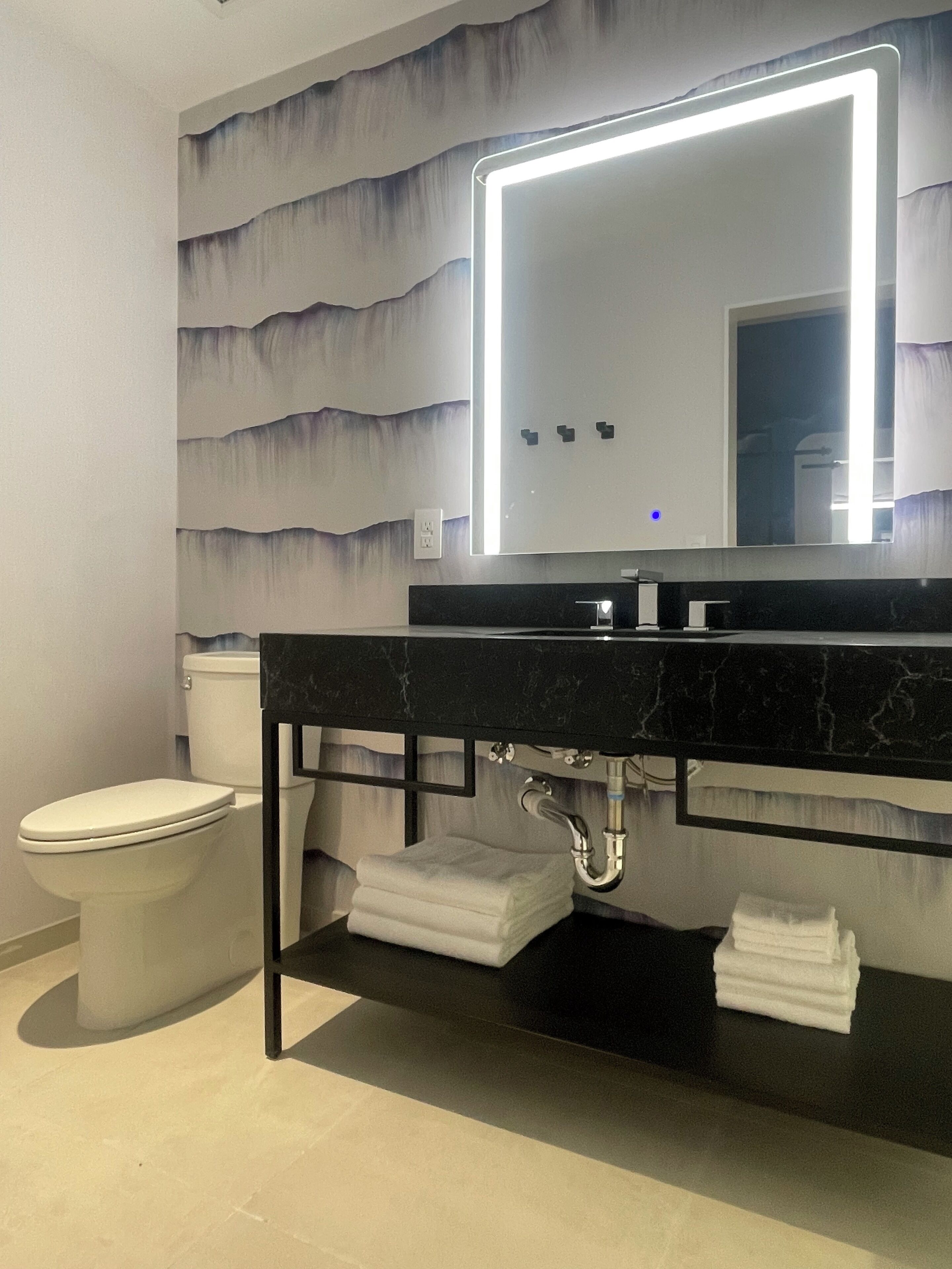 A bathroom with a black marble sink, a white toilet, and a wall-mounted mirror with a light.