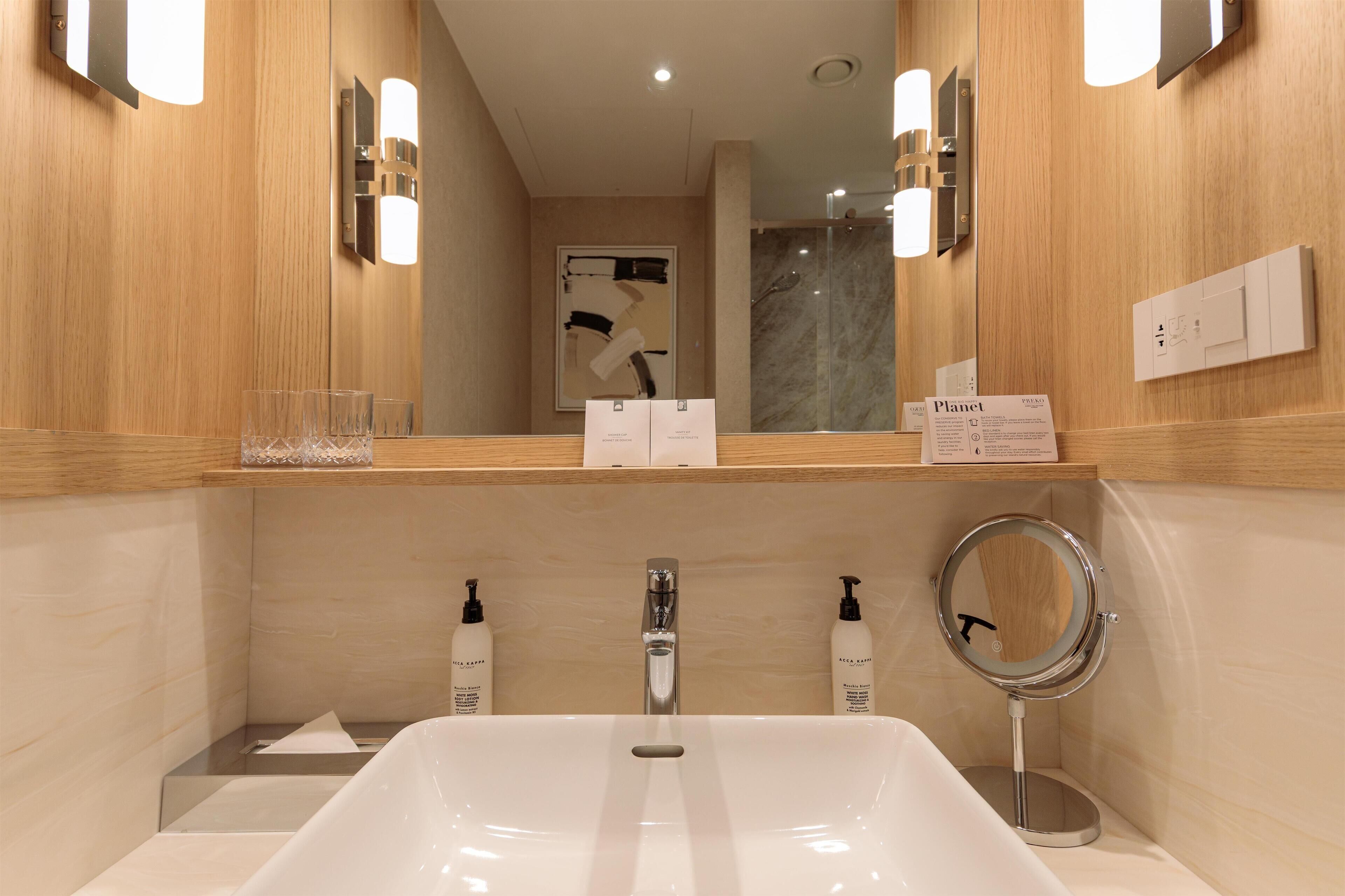 A modern bathroom with a large sink, two mirrors, and a shower area visible through a glass door.