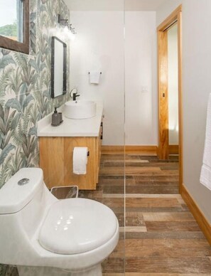 Chuveiro, secador de cabelo, toalhas de banho, sabonete