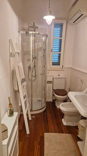 Dusche, Haartrockner, Bidet, Handtücher