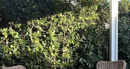 Oasi Ardenza: your home by the sea, Livorno