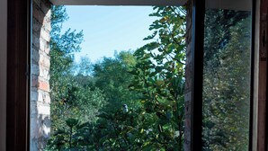A window with a view of a brick wall and greenery outside. - Montello Hill front property with large garden (Ciano)