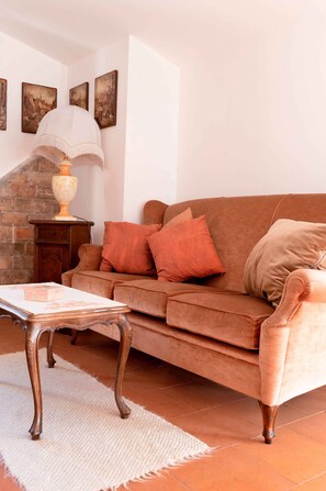 TV connectée, cheminée, livres