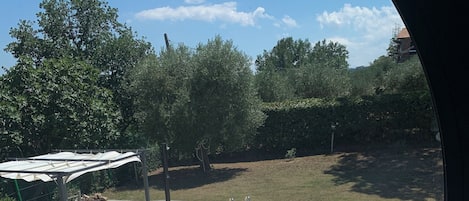 Alberca al aire libre