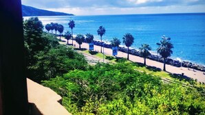 A coastal road with palm trees and a view of the ocean. - Old family home renovated for holidaymakers (Basse-Terre)