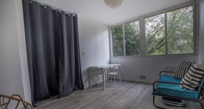 The south-facing apartment