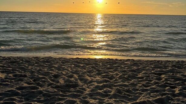 A beach with footprints leading to the water, a clear sky, and the sun setting over the horizon.