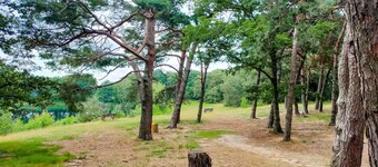 2 bedroom amazing home in Afferden