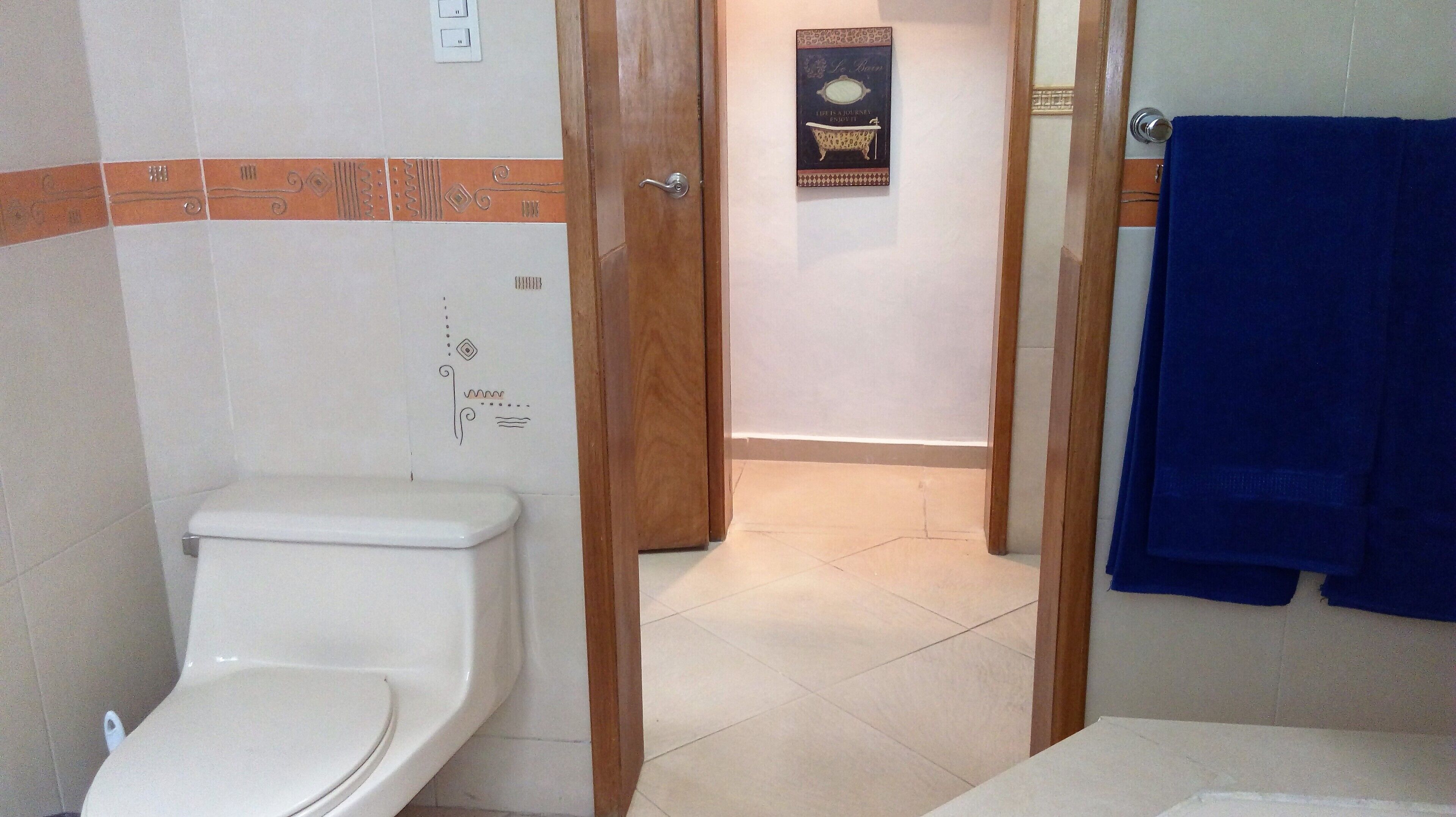 A bathroom with a toilet, a shower area, and a blue towel hanging on the wall.