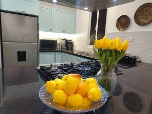 Fridge, microwave, coffee/tea maker, toaster - Claninn: Apartment in the historic center, huge balcony with nice view (Santo Domingo)