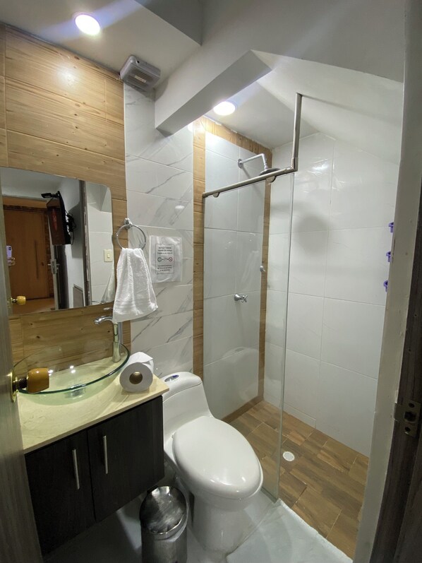 Regadera, secadora de cabello, toallas, jabón 