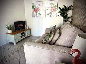 Smart TV, books