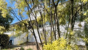 A garden with various plants and trees, a pathway, and a building in the background.
